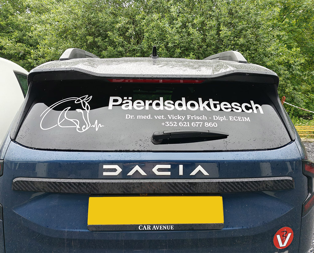 Paerdsdoktesch